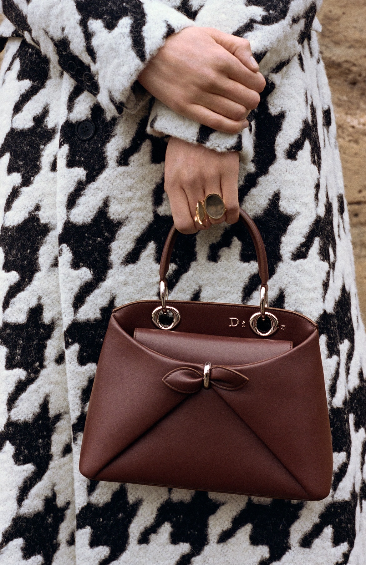 Dior Cigale Bag Brown (2026)
