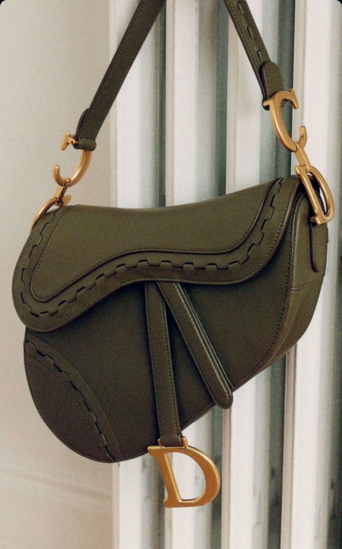 Dior Saddle Bag (Fall 2026)